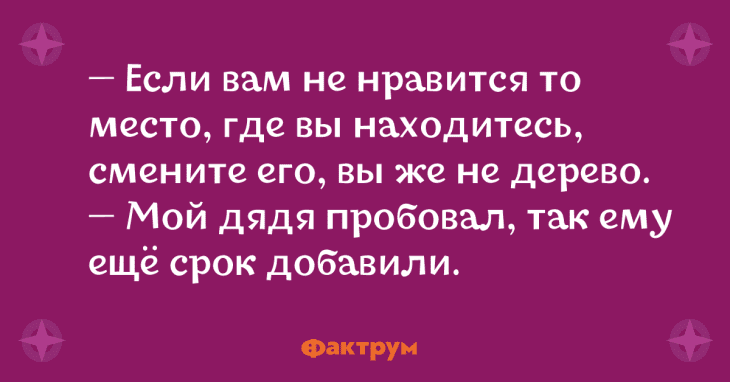 Анекдот про гениальное решение
