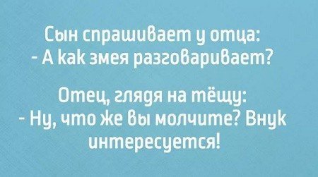 Анекдот про гребцов