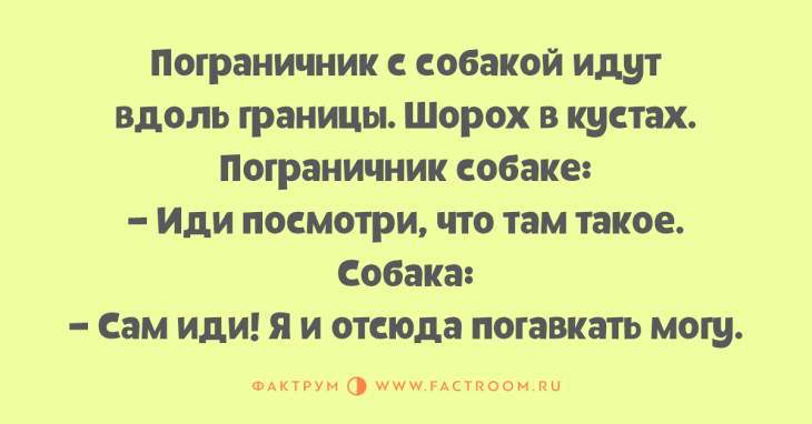 Анекдот про кошку