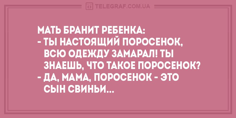 Анекдот про сообразительного Вовочку