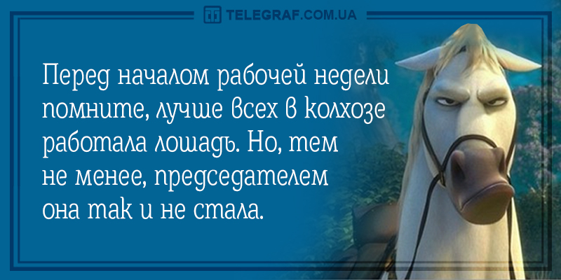 Анекдот про птичек и мышек