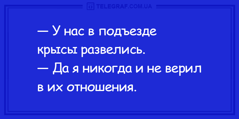 Анекдот про вопросы