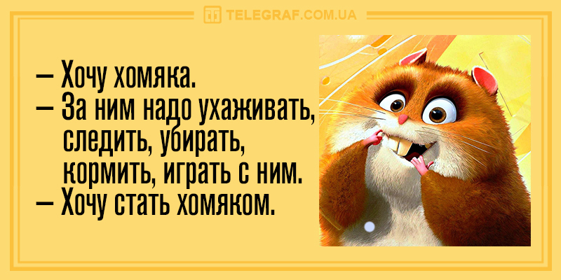 Анекдот про философию