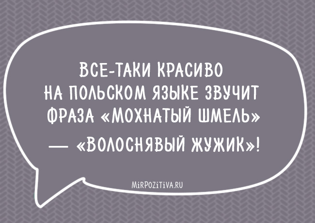 Анекдот про проверенное средство