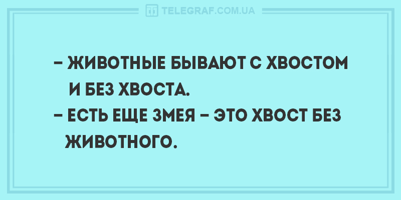 Анекдот про насекомое