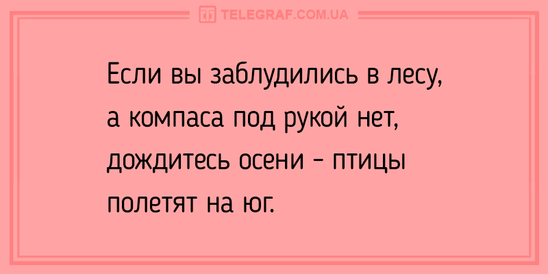 Анекдот про что-то новенькое