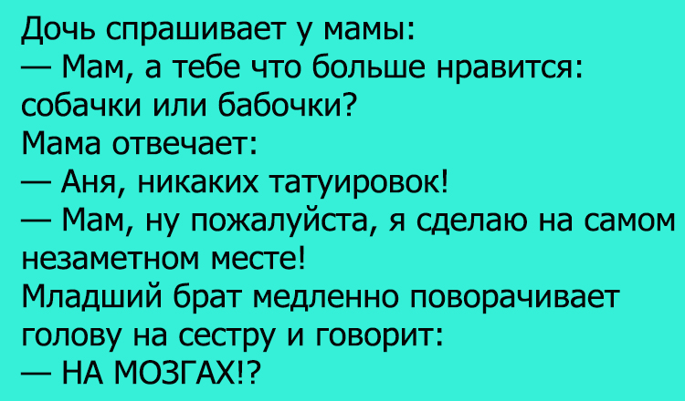 Анекдот про бабочек и собачек