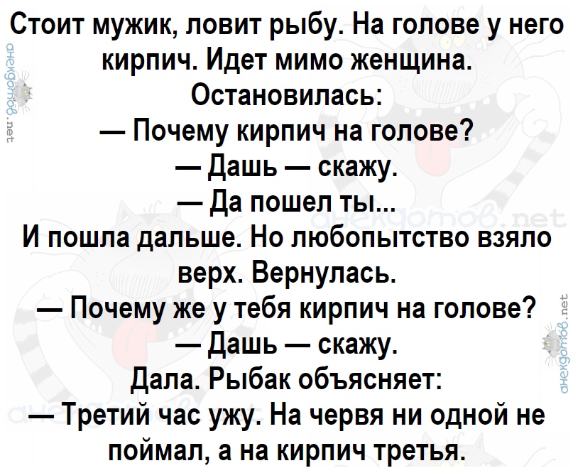 Анекдот про кирпич и рыбака