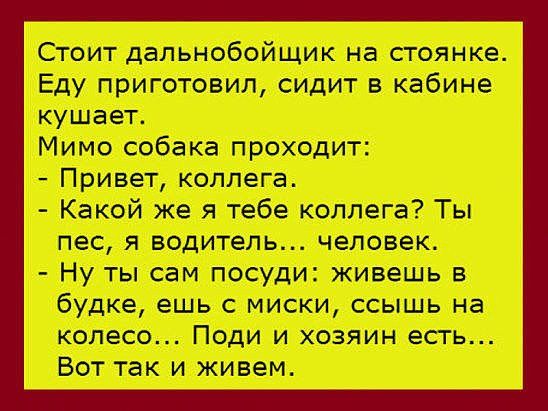 Анекдот про дальнобойщика и собаку