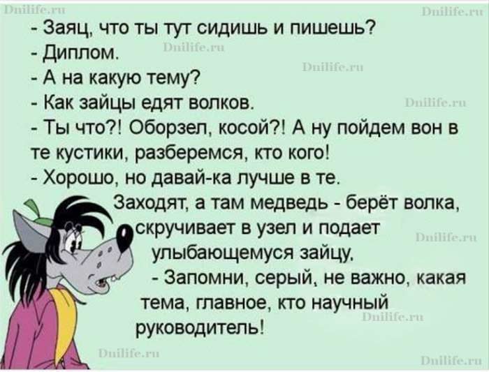 Анекдот про зайца и волка