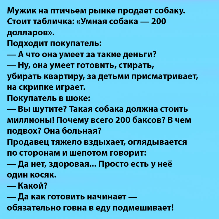 Анекдот про лучшую собаку