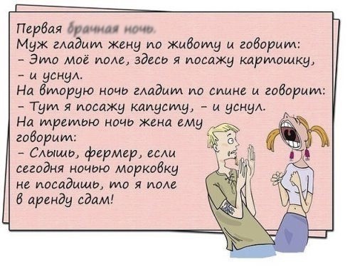 Анекдот про огород