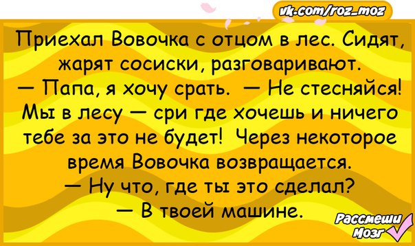 Анекдот про Вовочку на природе