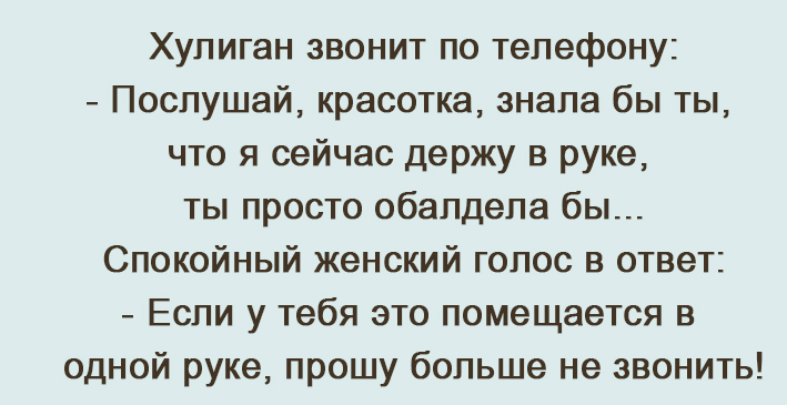 Анекдот про звонок хулигана