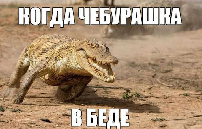 9b13d11s-960