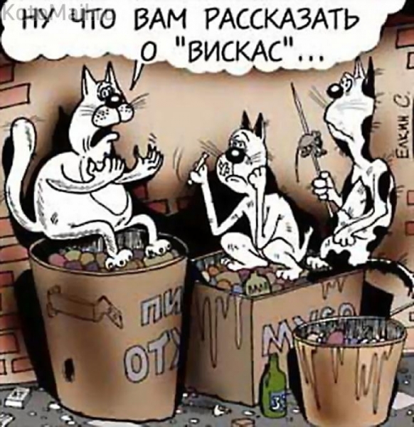 1386787418_pro-kotov