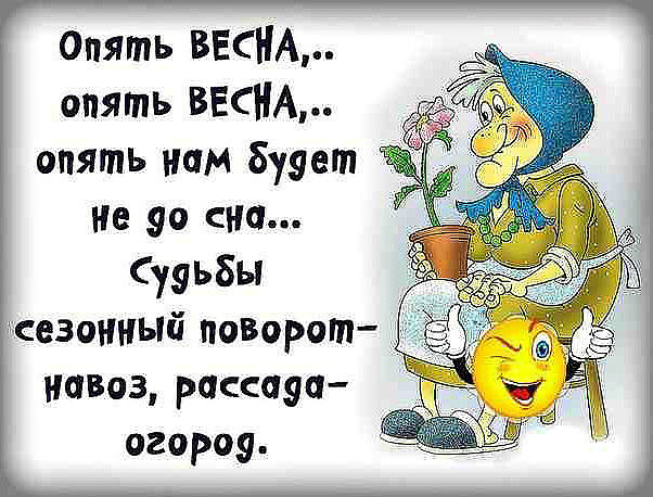1dea8b1s-960