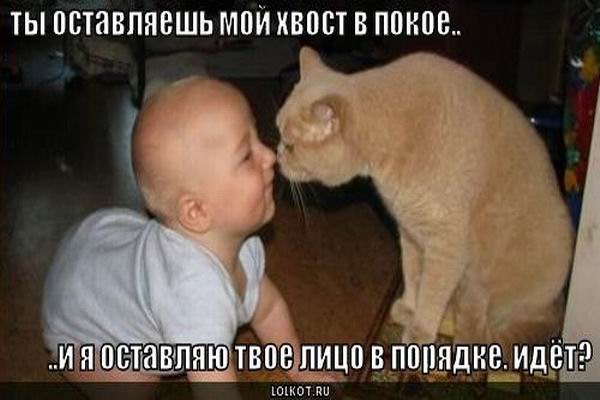217738521_139ec96d365420c3135806f411c5aff9_800