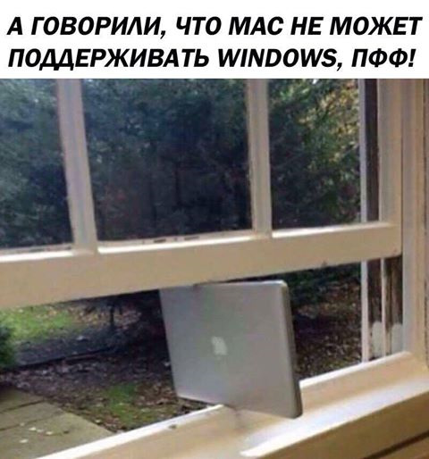 71b0b31s-480