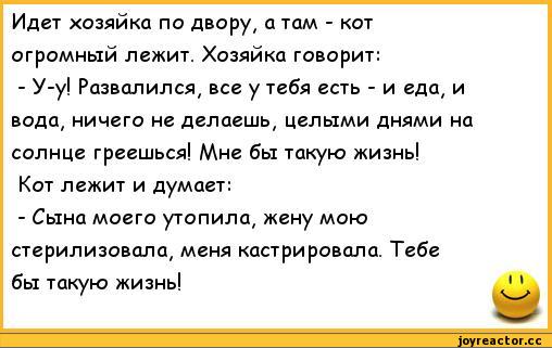 anekdoty-tsinichnye-anekdoty-167971