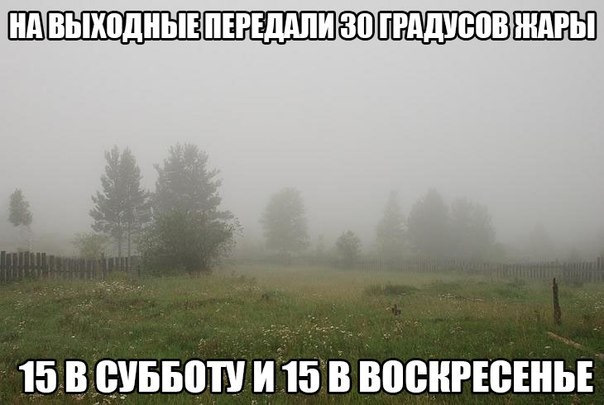 f0cffd1s-960