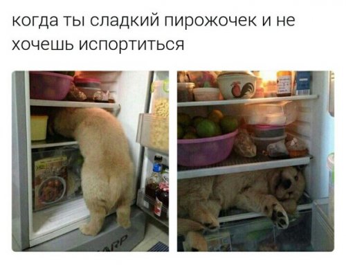 1493704823_anekdoty