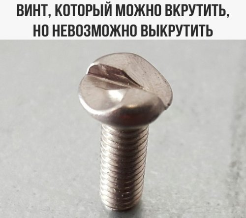 1494827737_anekdoty