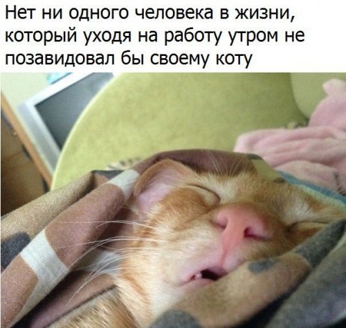 1495090756_anekdoty