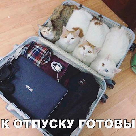 1d7b0f1s-480