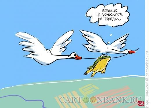8cd1809s-960