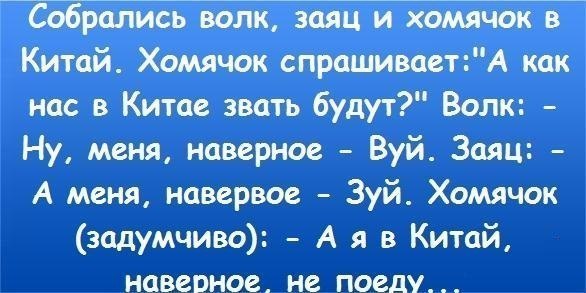 u_ea994c956f6b27f4c5de31be21964e7a_800