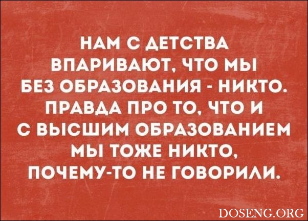 0_85691e_5adeb445_orig_419