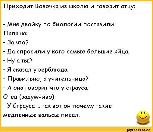 anekdoty-anekdoty-pro-vovochku-328593