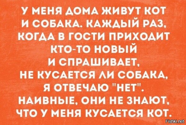 igor2-06061718452045_10