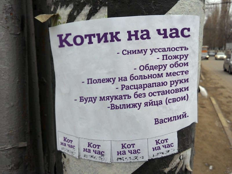 igor9-03031718072407