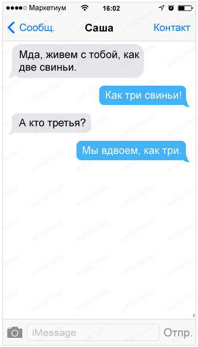 20-sms-ot-druzej-kotorye-za-slovom-v-karman-ne-polezut_c9f0f895fb98ab9159f51fd0297e236d1
