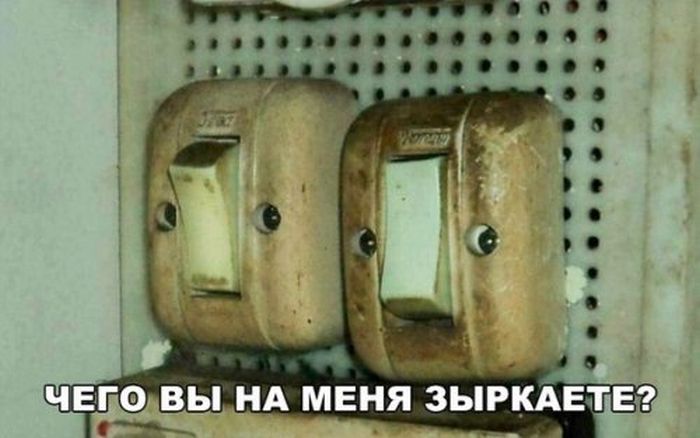 foto_prikoli_04