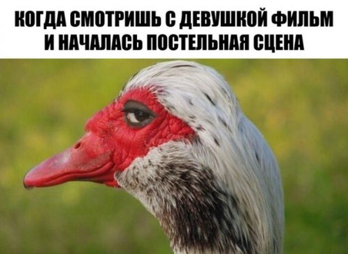 foto_prikoli_06