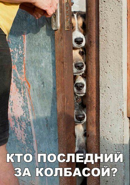 foto_prikoli_07