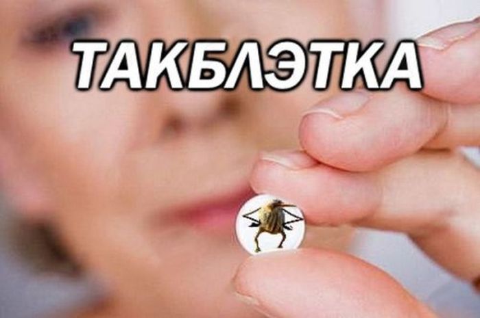 foto_prikoli_17