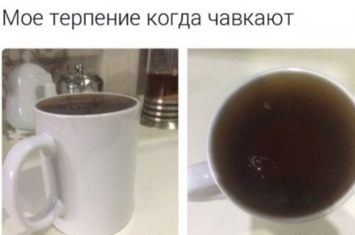 foto_prikoli_26
