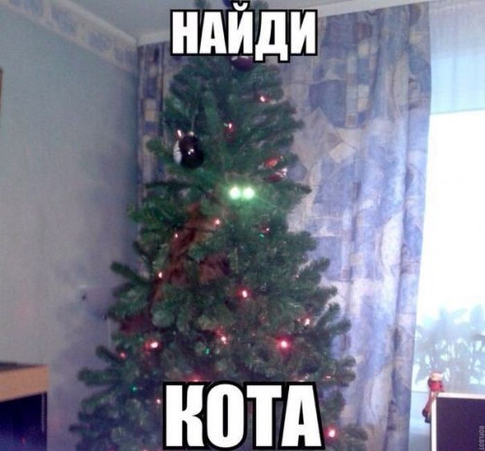 kartinki_s_tekstom_02