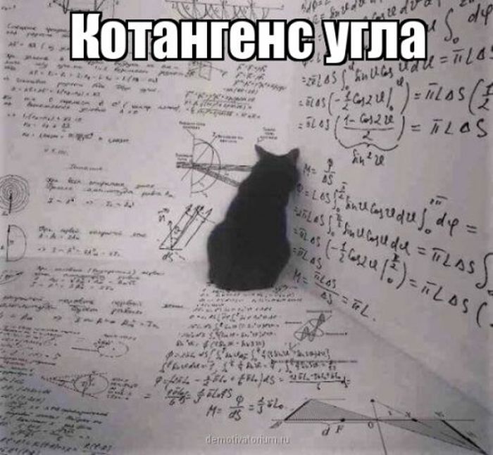 kartinki_s_tekstom_12