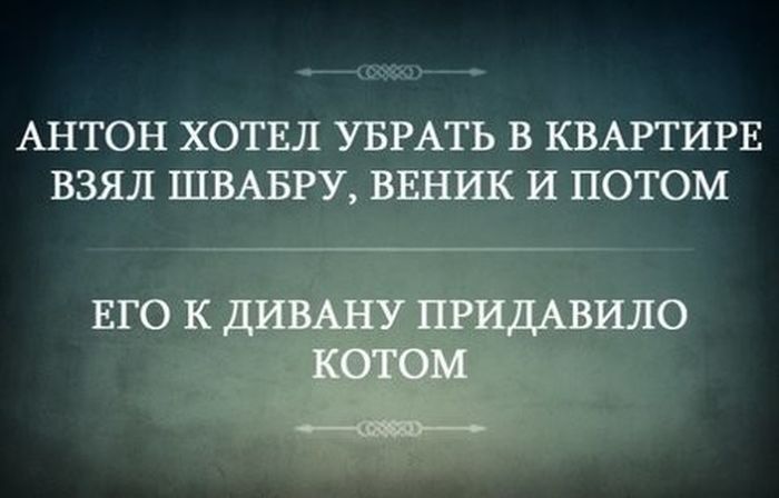 prikoli_18