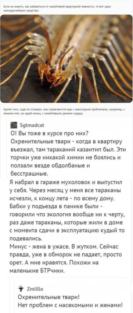 soc_seti_21