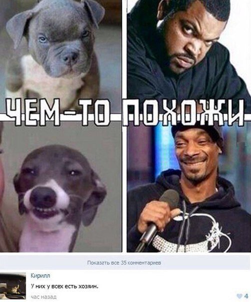 temniiiuumr6