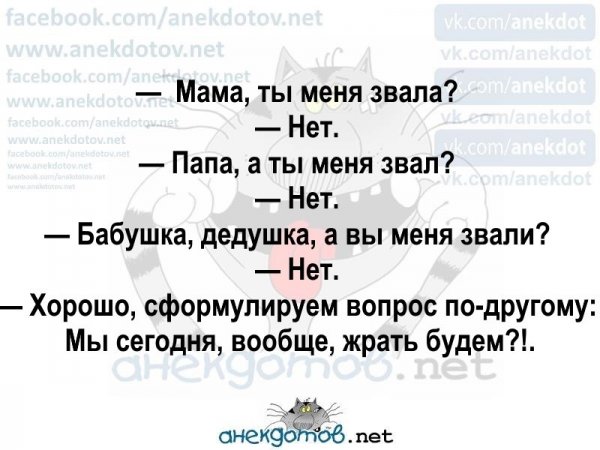 votisamek3