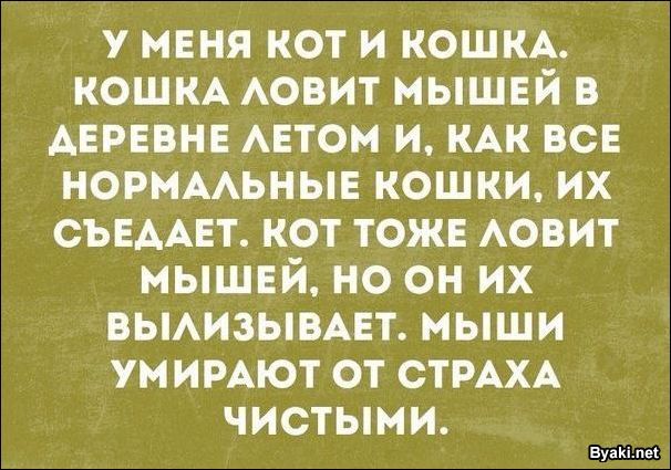 1501444150_10