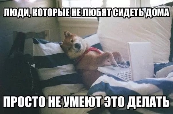8d088d9s-960