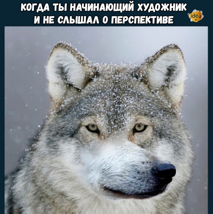 92388712_resizedscaled_740to745